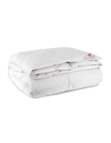 Piumino Singolo Invernale Puro Cotone E Piuma D'Oca Polar Inhom 155x200