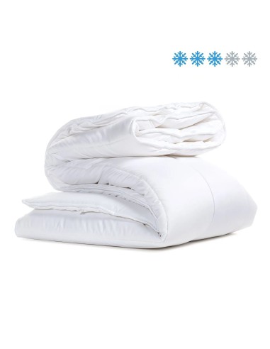 Piumino Letto Matrimoniale 255x200 In Microfibra Anallergica Caleffi I Dormissimi Art. Morfeo