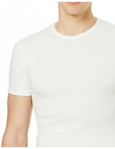 2 T-Shirt Uomo Intima Gircollo Caldo Cotone Organico Bio Ragno 604477
